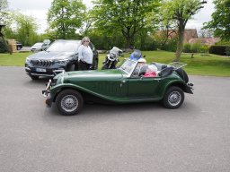 Hahn Auf_Anlassen_2024-P4280018